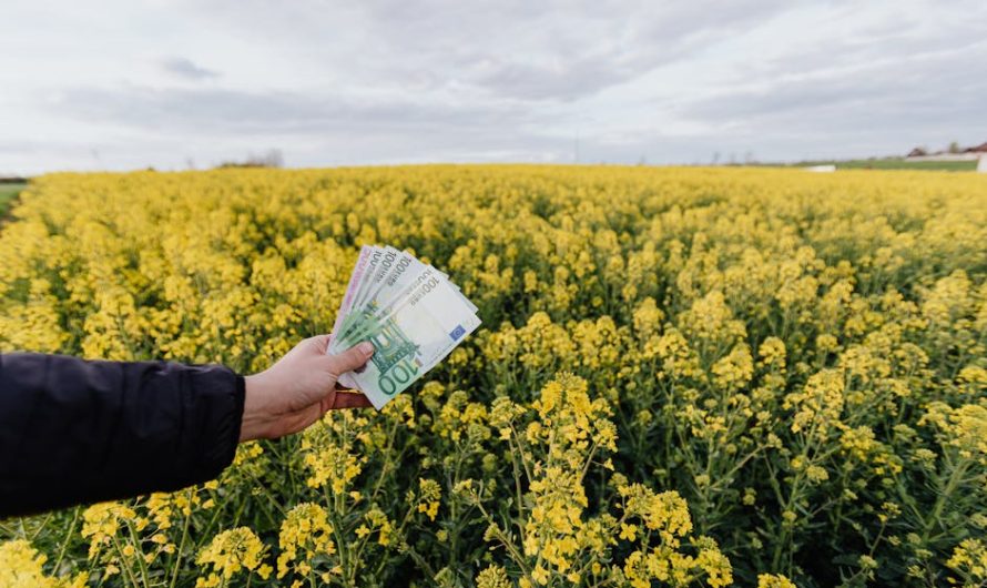 Частные займы под залог недвижимости