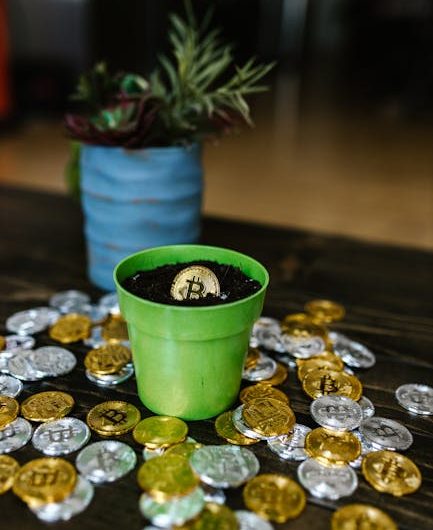 Инвестирование в займы под залог недвижимости