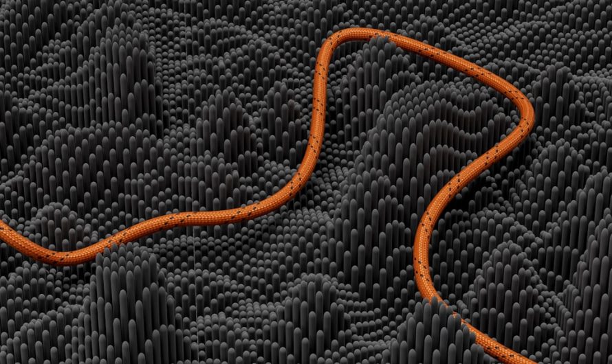 Договор займа под залог квартиры