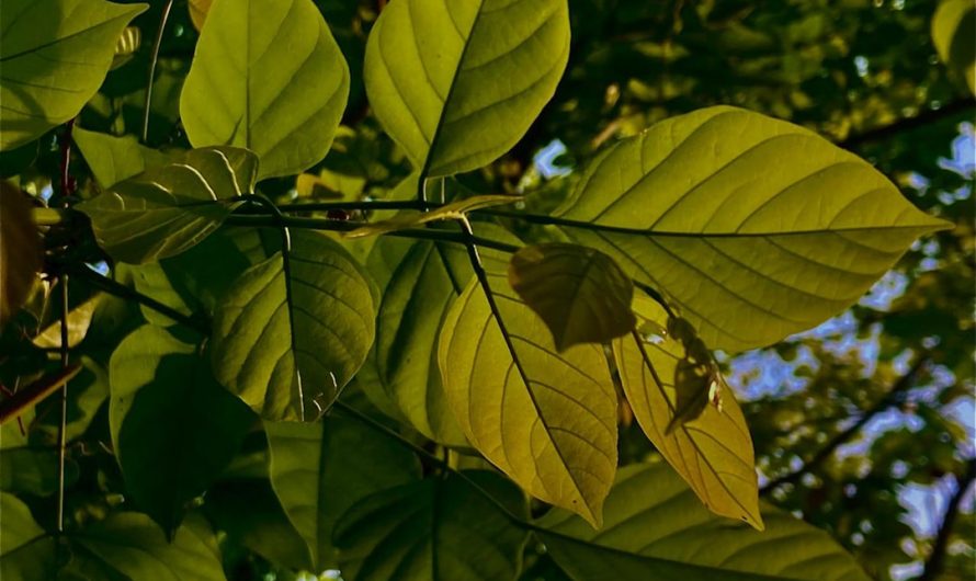Кредиты под залог недвижимости в Чите для физических лиц