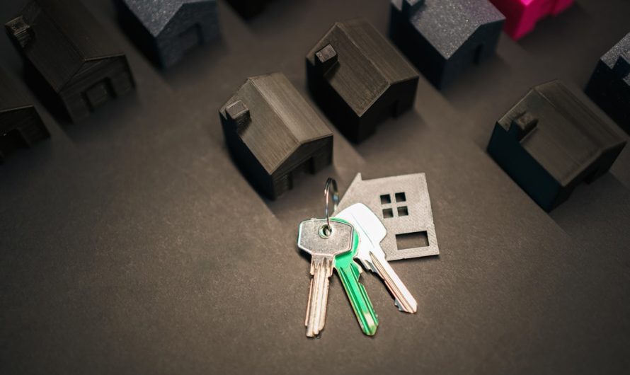 Займы и инвестиции основные понятия и различия